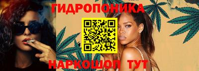 крисы Обнинск