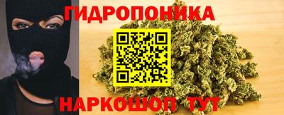 крисы Обнинск