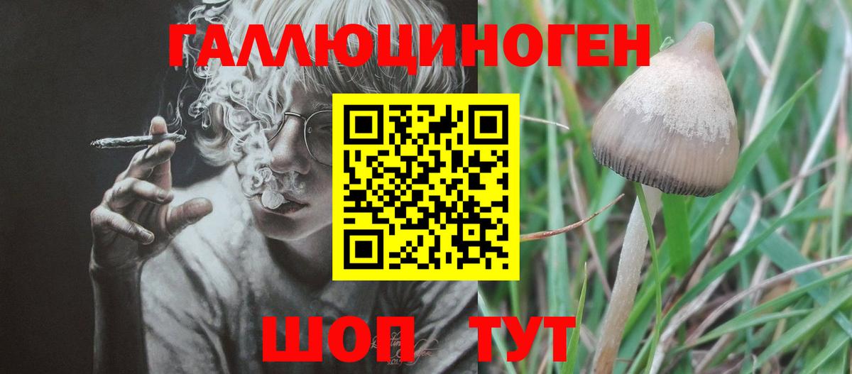 Галлюциногенные грибы Cubensis  Вход с VPN  Рузаевка  Галлюциногенные грибы GOLDEN TEACHER 